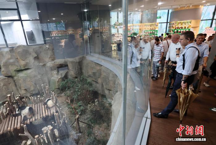 爱沙尼亚驻, 部分来蓉参